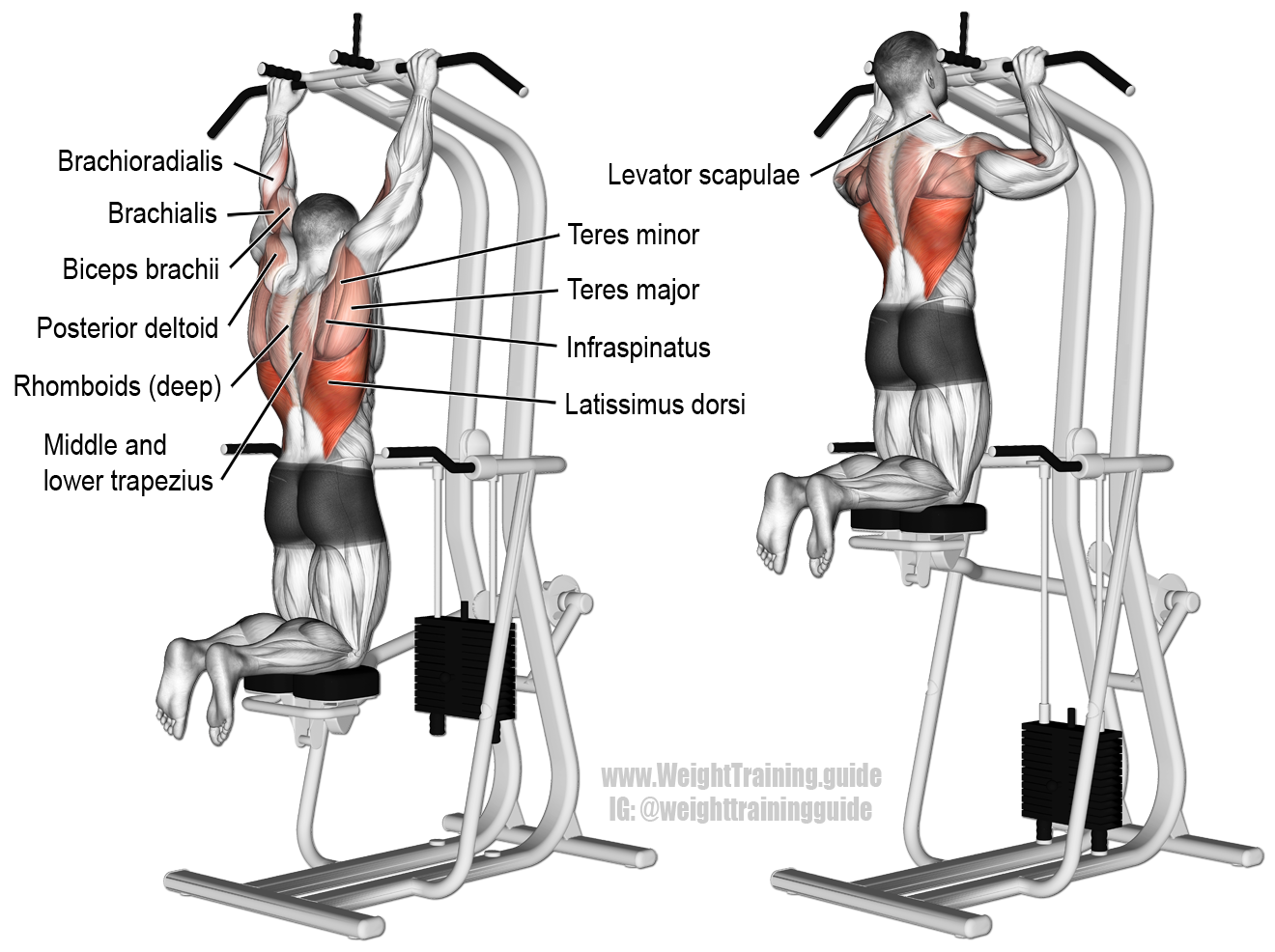 How to Do Pullups with Proper Form