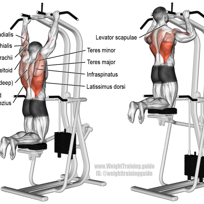 How to Do Pullups with Proper Form